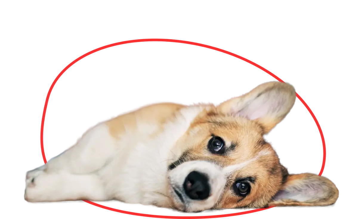 emergency image